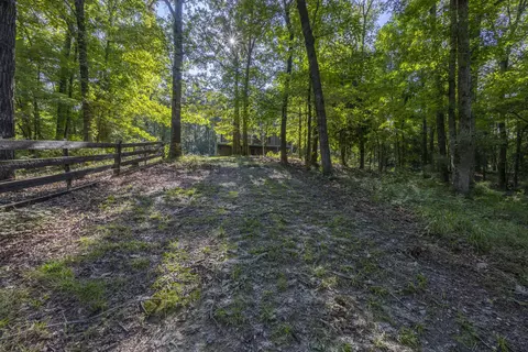 481 Mt Pleasant Rd, Monetta, SC 29105 photo 4