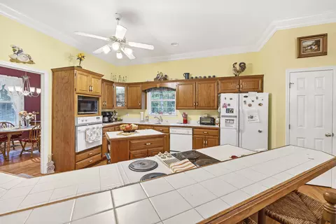 481 Mt Pleasant Rd, Monetta, SC 29105 photo 19