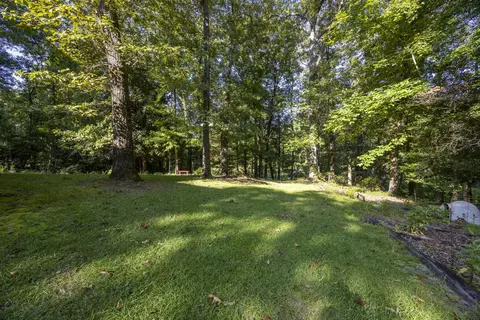 481 Mt Pleasant Rd, Monetta, SC 29105 photo 8
