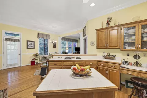 481 Mt Pleasant Rd, Monetta, SC 29105 photo 23