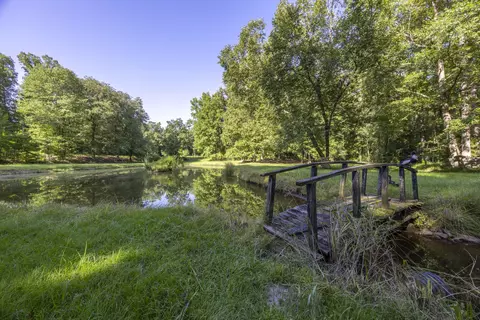 481 Mt Pleasant Rd, Monetta, SC 29105 photo 10
