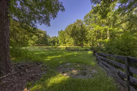 481 Mt Pleasant Rd, Monetta, SC 29105 photo 9