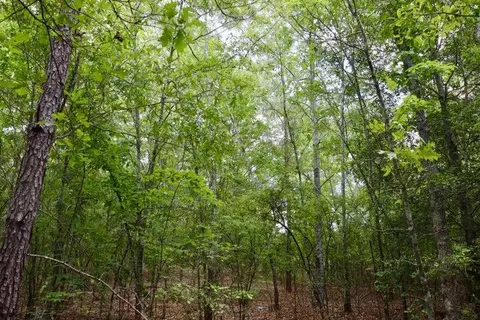 00 Beagle Dr, Clinton, SC 29325