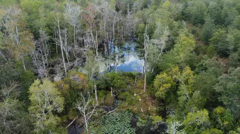 1365 Dairy Rd, Ridge Spring, SC 29129 photo 1