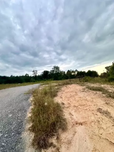 0 Peachtree Ext, Gilbert, SC 29054 photo 3