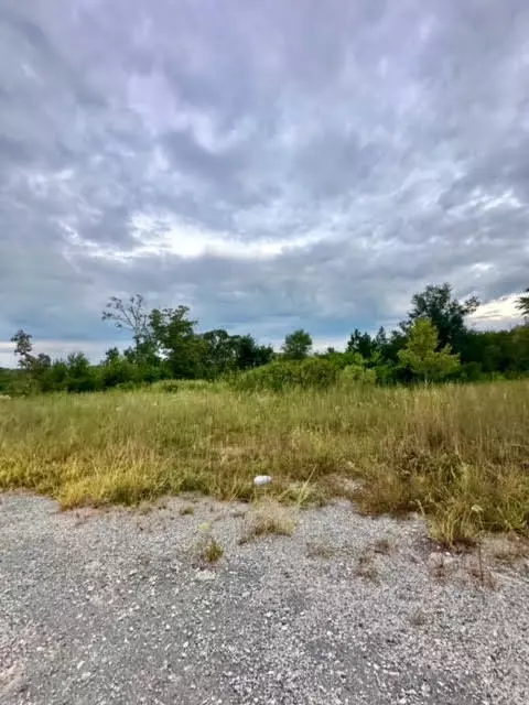 0 Peachtree Ext, Gilbert, SC 29054 photo 10