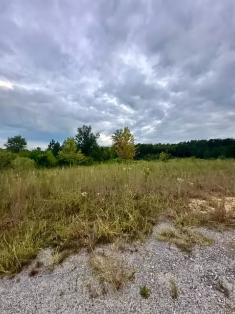 0 Peachtree Ext, Gilbert, SC 29054 photo 13
