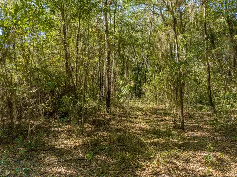 lot24 Mallard Dr, Barnwell, SC 29812
