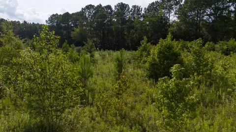 0 Empire Ln, Santee, SC 29142 photo 17
