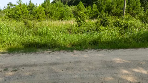 0 Empire Ln, Santee, SC 29142 photo 8