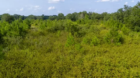 0 Empire Ln, Santee, SC 29142 photo 5