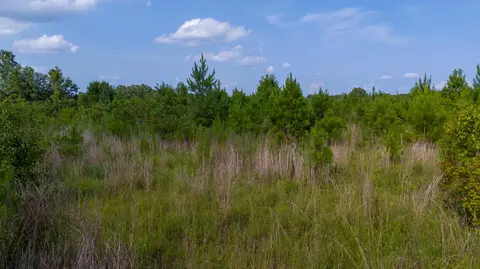 0 Empire Ln, Santee, SC 29142 photo 3
