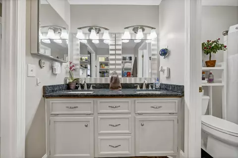 Bath - 320 Adams Ln, Gilbert, SC 29054 photo 6 of 9
