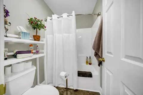 Bath - 320 Adams Ln, Gilbert, SC 29054 photo 9 of 9