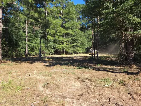 Lot 31 Shad Road #31, Williston, SC 29853
