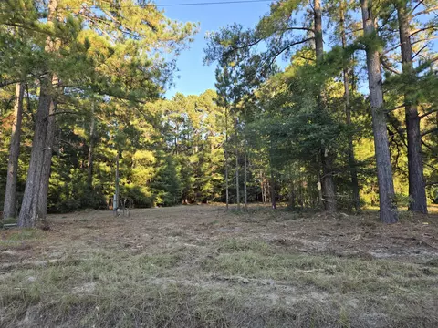 32 89 Shad Rd, Williston, SC 29853 photo 2