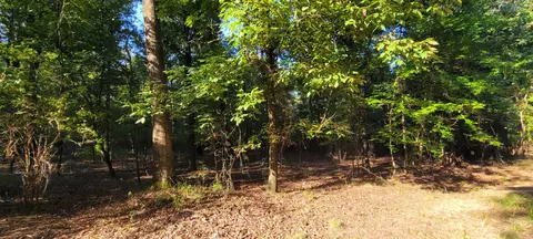 32 89 Shad Rd, Williston, SC 29853 photo 6