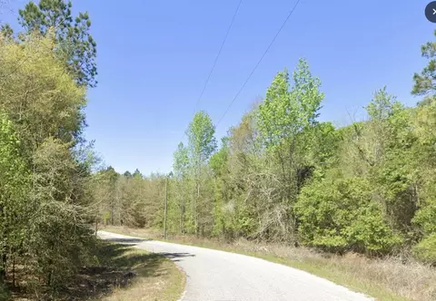 32 89 Shad Rd, Williston, SC 29853 photo 4