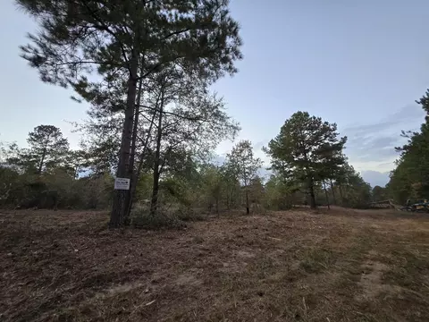 32 89 Shad Rd, Williston, SC 29853 photo 5