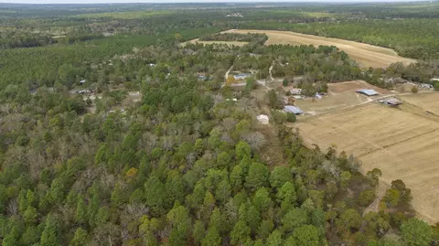 View/Area - 5255 Two Notch, Leesville, SC 29070 photo 7 of 7