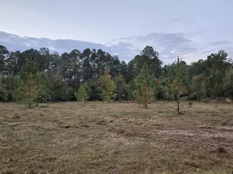 lot22 Ash Lane Ln, Williston, SC 29853