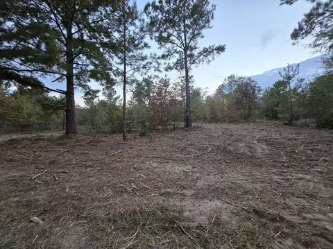 4 Ac Tbd Shad Rd, Williston, SC 29853