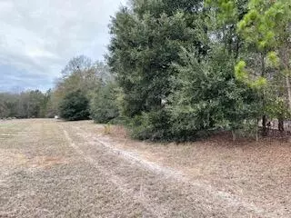 7 8 Acres Deerstand Rd, Wagener, SC 29164