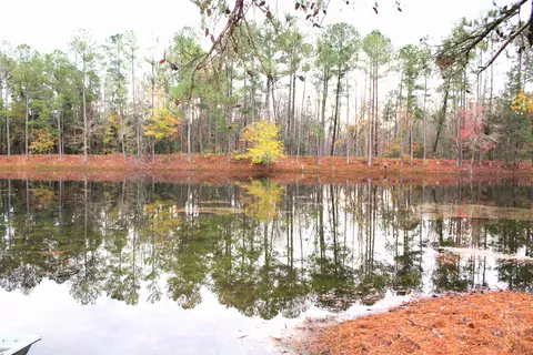 View/Area - 1360 Vanest Rd, Ridge Spring, SC 29129 photo 1 of 8
