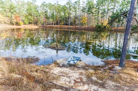 View/Area - 1360 Vanest Rd, Ridge Spring, SC 29129 photo 5 of 8