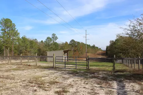 Other - 1360 Vanest Rd, Ridge Spring, SC 29129 photo 9 of 16