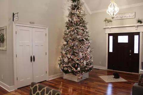 Entry Way - 1360 Vanest Rd, Ridge Spring, SC 29129 photo 1 of 5