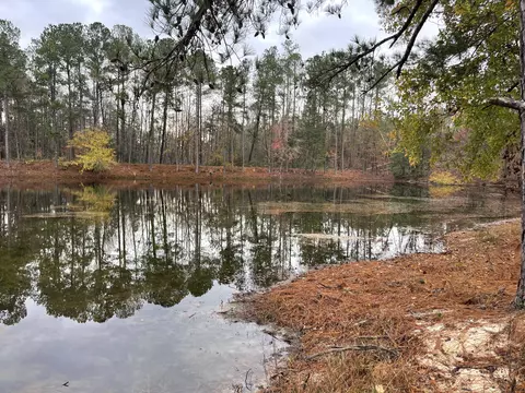 View/Area - 1360 Vanest Rd, Ridge Spring, SC 29129 photo 4 of 8