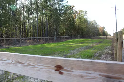 Exterior - 1360 Vanest Rd, Ridge Spring, SC 29129 photo 7 of 21