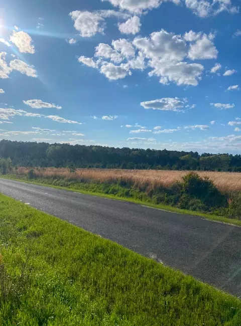 tbd 210 Mt Calvary Rd, Trenton, SC 29847