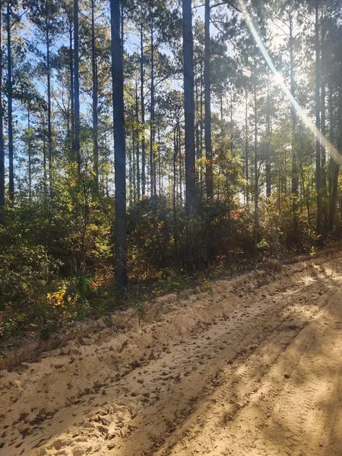 Fyf 1b Fox Young Road #FYF 1B, Wagener, SC 29164