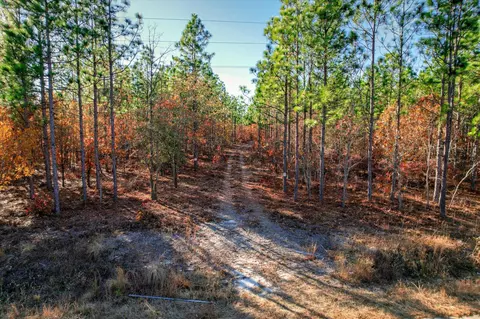 00 Centerwood Rd, Windsor, SC 29856