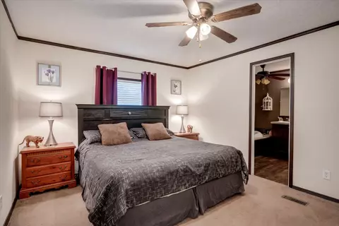191 Deerfield Dr, Williston, SC 29853 photo 12