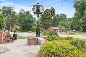 Other - 411 Chickadee Way, Harlem, GA 30814 photo 11 of 16