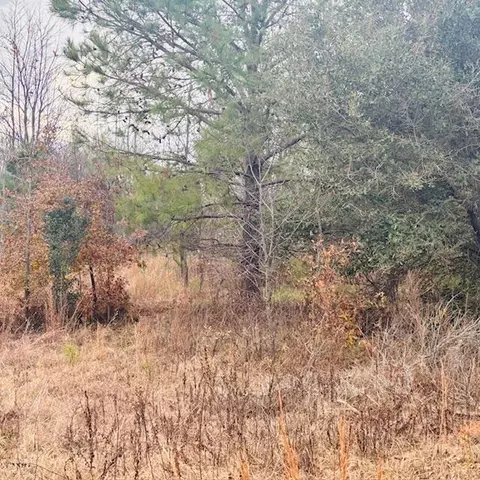 tbd Woodward Dr, Montmorenci, SC 29839