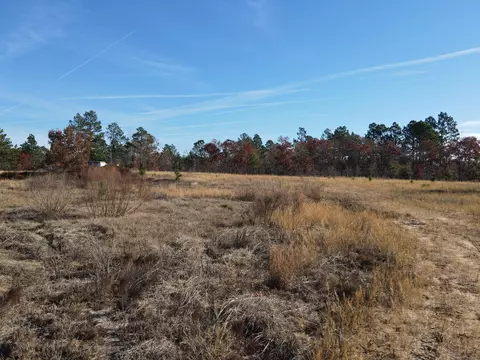 0 Windsor Rd, Windsor, SC 29856 photo 7