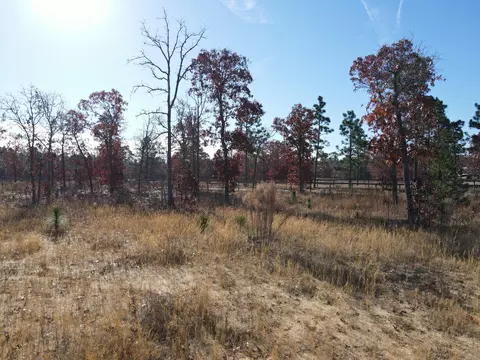 0 Windsor Rd, Windsor, SC 29856 photo 8