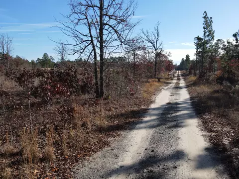 0 Windsor Rd, Windsor, SC 29856 photo 9