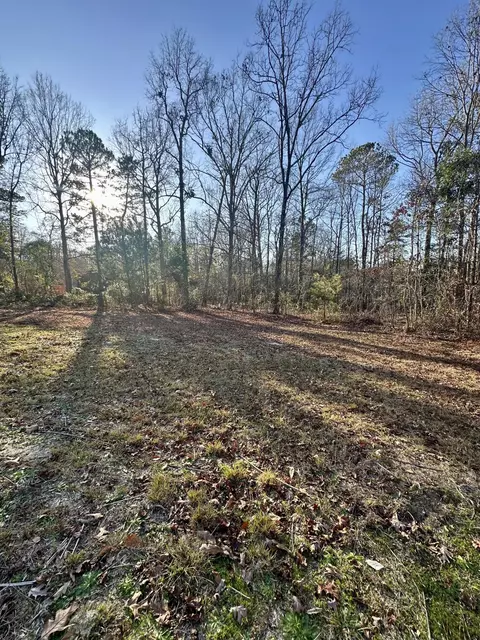 1312 Lewie Rd, Gilbert, SC 29054 photo 37