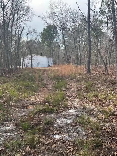 142 Ryan Road Windsor, Windsor, SC 29856 photo 2