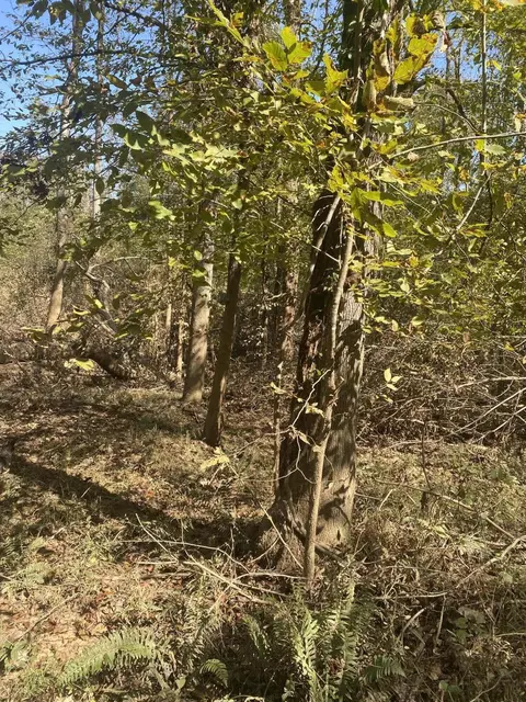 tbd Youngblood Rd, Edgefield, SC 29824