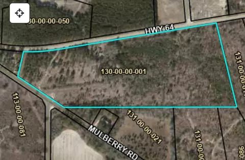 0 Hwy 64 E, Barnwell, SC 29812
