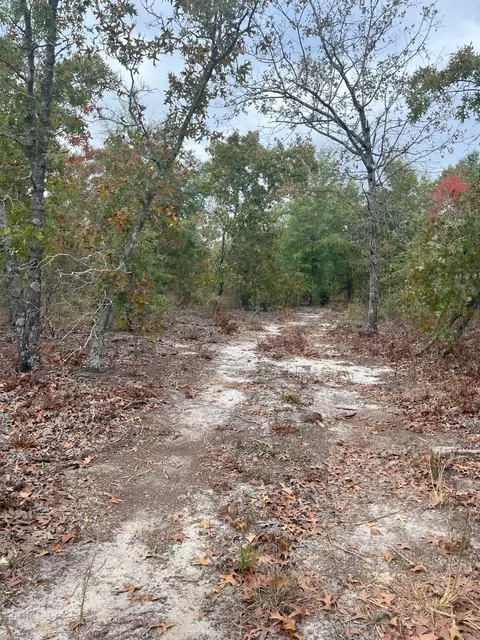 17 Kirkland Blizzard Road #BA 17, Salley, SC 29137
