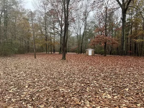 Exterior - 3247 Highway 702, Chappells, SC 29037 photo 6 of 8