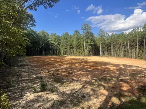 Other - 3247 Highway 702, Chappells, SC 29037 photo 3 of 5