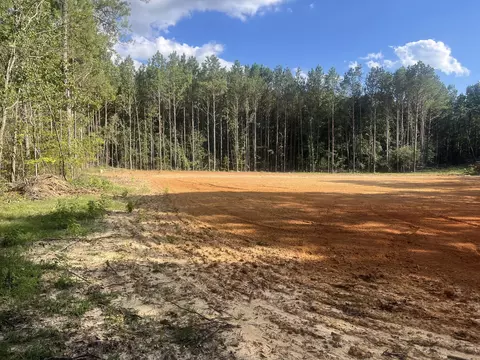 Other - 3247 Highway 702, Chappells, SC 29037 photo 5 of 5